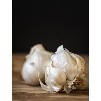 Organic Garlic 